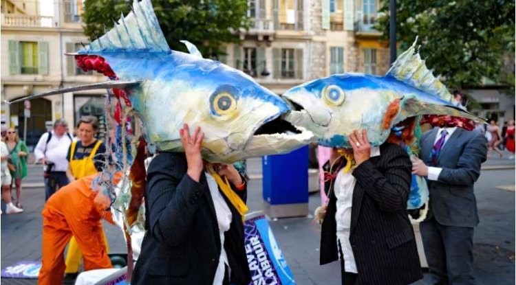 UN Ocean Conference Ends With Gains in Conservation, Misses on Finance
