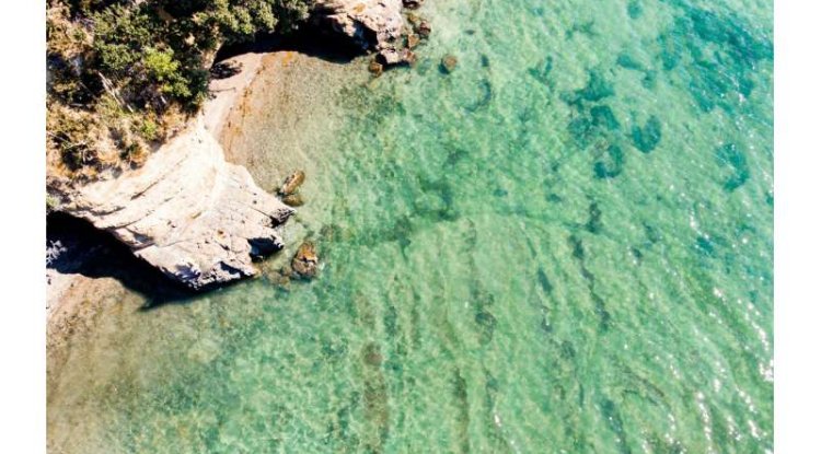 New Zealand Faces Pressure to Step Up Ocean Protection Efforts