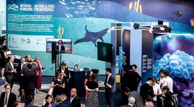 UN Ocean Conference Sparks Momentum for High Seas Treaty