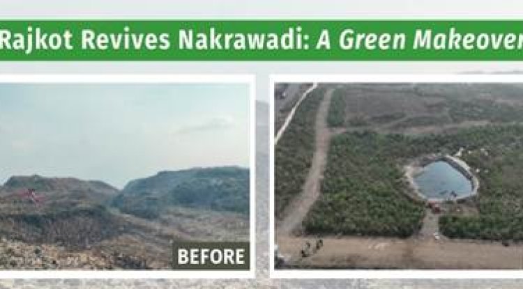 Rajkot Turns 16 Lakh Tonne Dumpsite into 20-Acre Urban Forest
