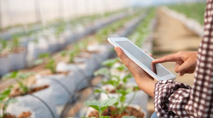 India’s Farm Sector Output Rises to Rs 29.49 Lakh Crore