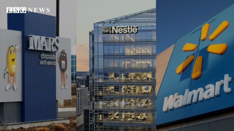 Major Companies Exit U.S. Plastics Pact as Targets Approach