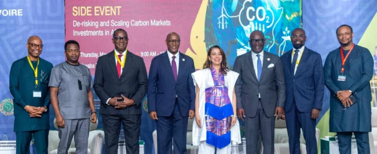 Africa Advances Carbon Market Strategy for Climate Finance