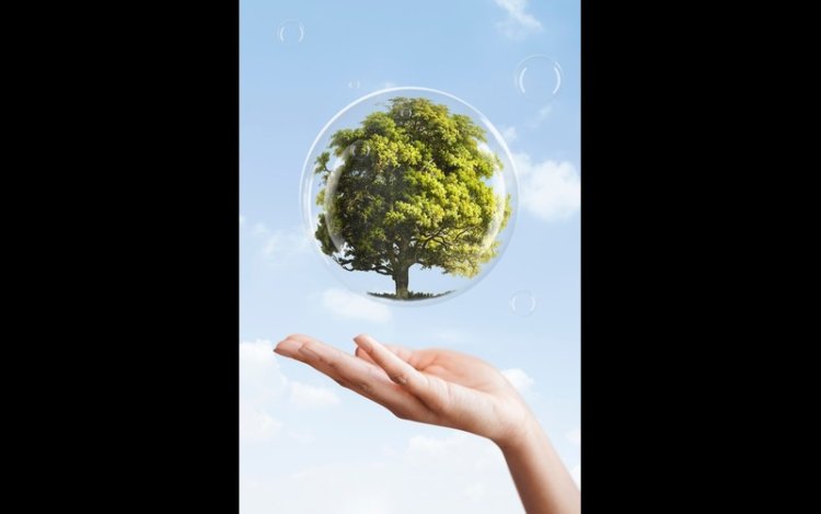 Vedanta Aluminium Leads Green Shift On Environment Day