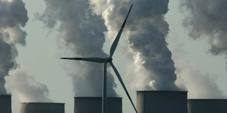 Trump Policies Stall Climate Investment Momentum, Survey Finds