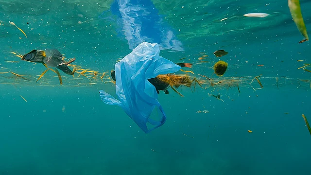Japan’s Soluble Plastic Aims to Combat Ocean Pollution