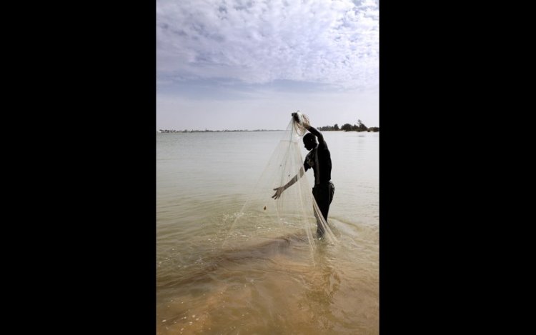 EU Tightens Rules To Curb Unsustainable Fishing Abroad