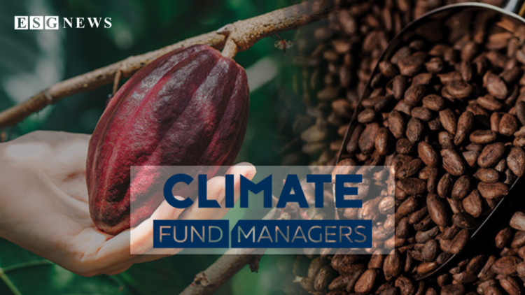 CFM and Soden Launch Cocoa Waste-to-Energy Plant in Côte d'Ivoire