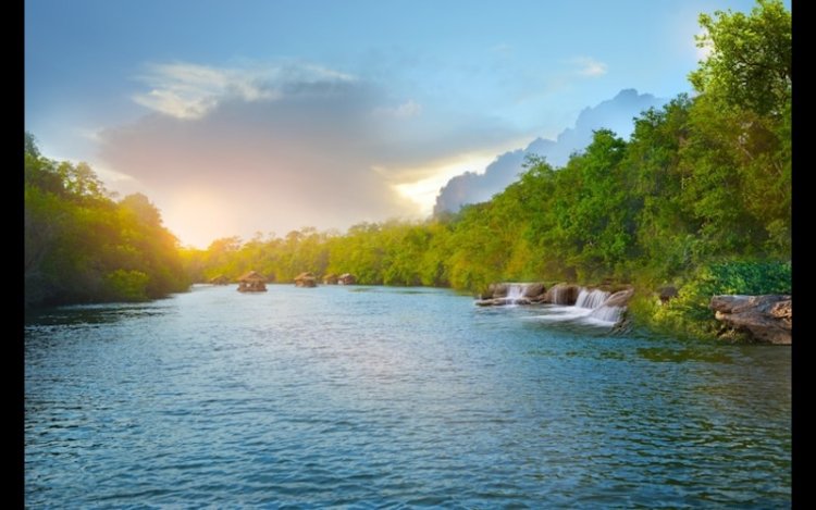 Reviving Rivers And Rediscovering Saraswati’s Legacy