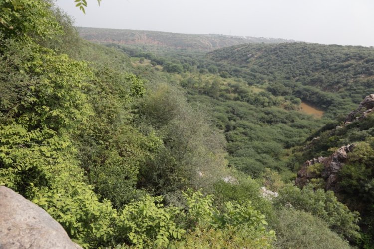 Strong Legal Framework Shields Aravallis, Reinforcing India's Commitment To Environmental Protection