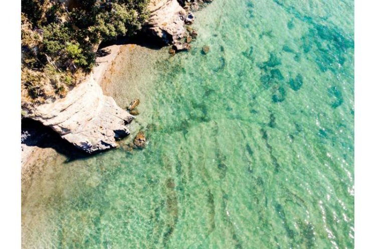 New Zealand Faces Pressure to Step Up Ocean Protection Efforts