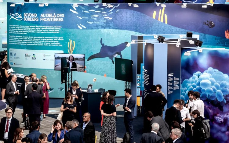 UN Ocean Conference Sparks Momentum for High Seas Treaty