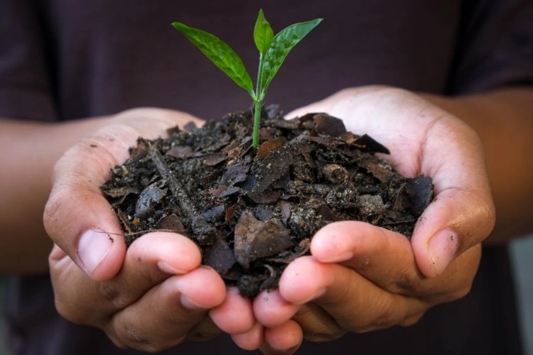 ReGenEarth and RER Launch $135M Green Bond for Biochar Projects