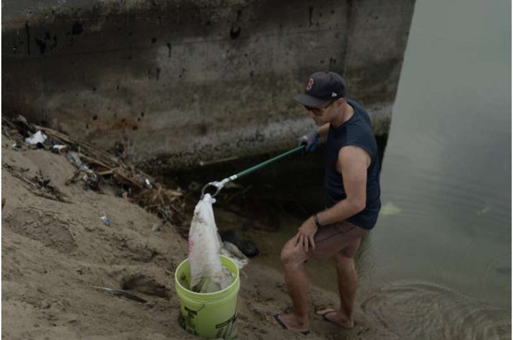 Plastic Bag Bans and Fees Cut Shoreline Litter by Up to 47%, Study Finds