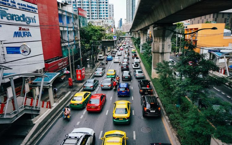 Bangkok’s Urban Tree Cover Declines Despite Major Planting Drives