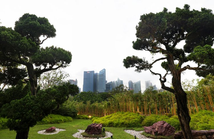 Singapore, UK, Kenya Lead Coalition to Standardise Global Carbon Markets