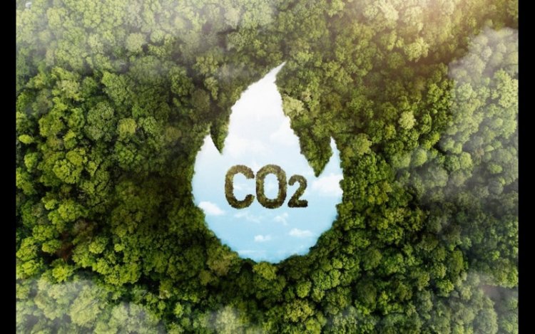 JPMorganChase Inks 10-Year Deal For Carbon Removal