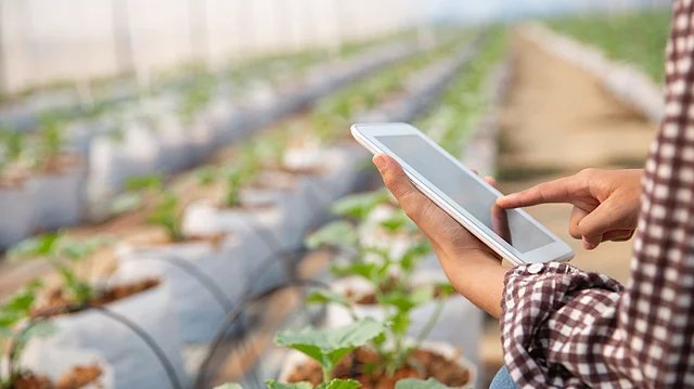 India’s Farm Sector Output Rises to Rs 29.49 Lakh Crore