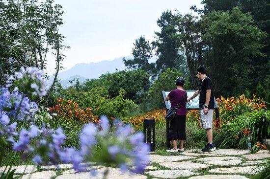 Guizhou's Fruitful Eco-construction: From 'Experimental Zone' To 'Pilot Zone'