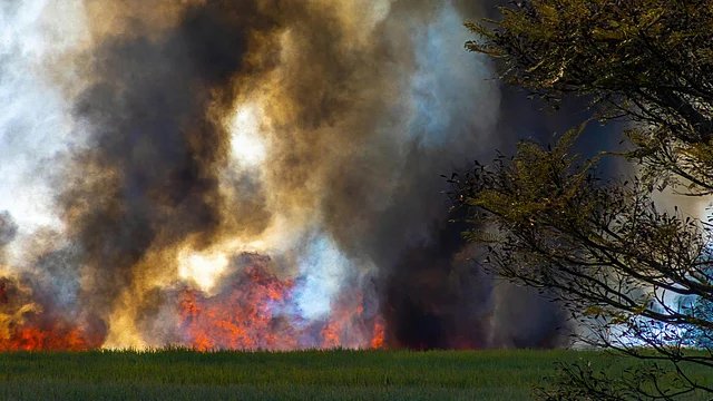 Europe Heatwave 2025: Wildfires Reported in France, Portugal, and Turkey