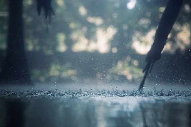 Jharkhand's Wet Spell Concludes as Per IMD Forecast