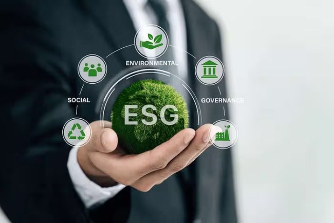 EU Sustainability Rules Backed by 198 Signatories in Joint Statement