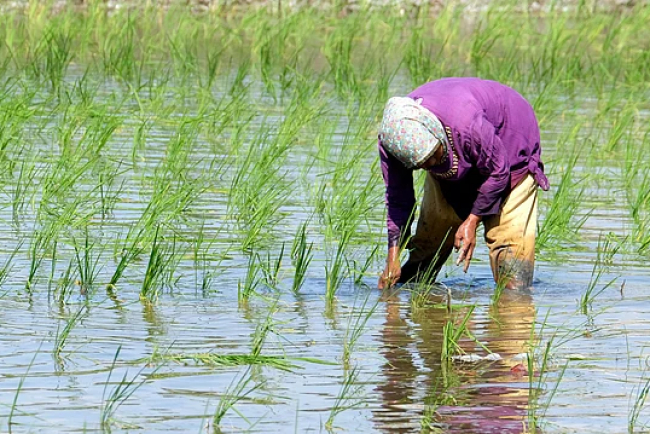 Regenerative Agriculture Gains Traction