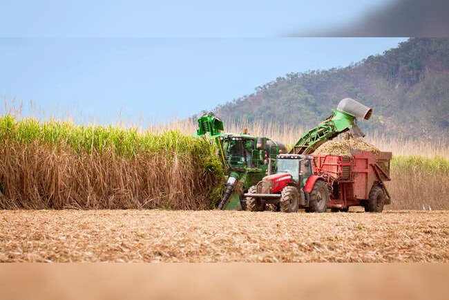 India Launches First PLA Bioplastic Plant