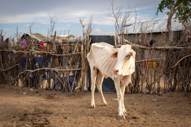 Three Major Barriers Prevent Global Shift to Healthy Food Systems: UNEP Report