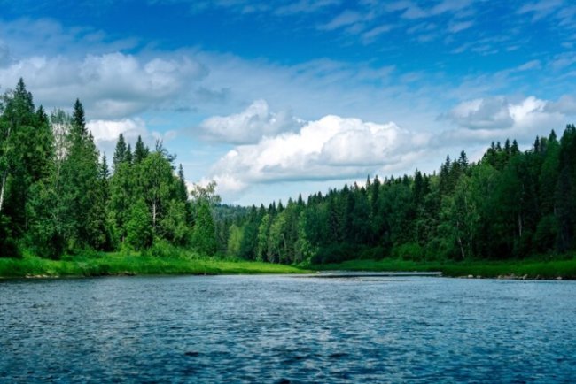 Ganga Water May Be Diverted To Clean Yamuna River