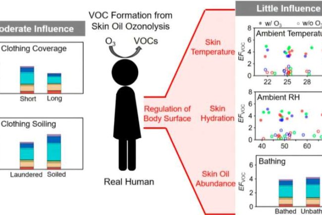 Ozone Drives VOC Emissions from Human Skin, Study Finds