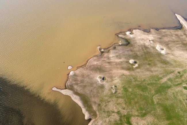 Sewage Sludge Threatens UK Farmland And Food Chain