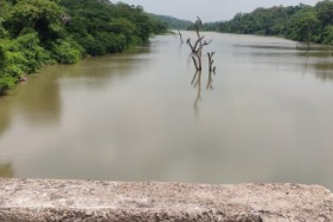 Pavana River Rejuvenation Project Gets SEIAA Nod