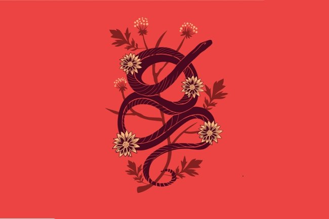 World Snake Day: Zoo Hosts Awareness Drive to Bust Myths, Highlight Ecological Role