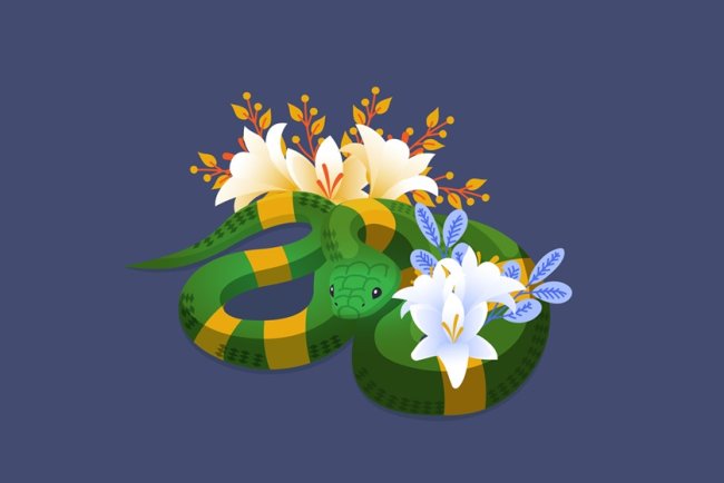 Snakes: Friends, Not Foes