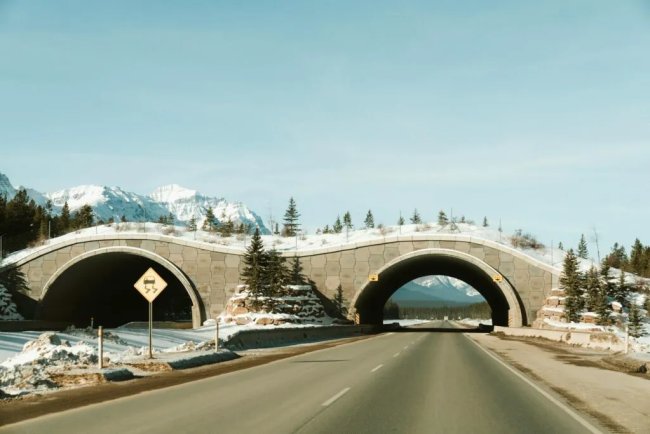 California Wildlife Crossing Nears Completion with Ongoing Soil Installation
