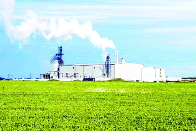 India’s Growth Balances Equity and Sustainability