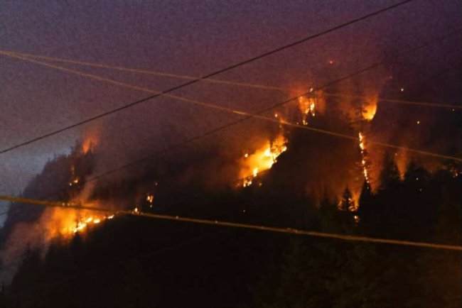 Canada Wildfires Scorch Area Equal to Size of Croatia in 2025