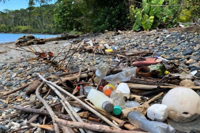 Plastic Bottle Pollution Hits Central America Hardest, Regional Study Finds