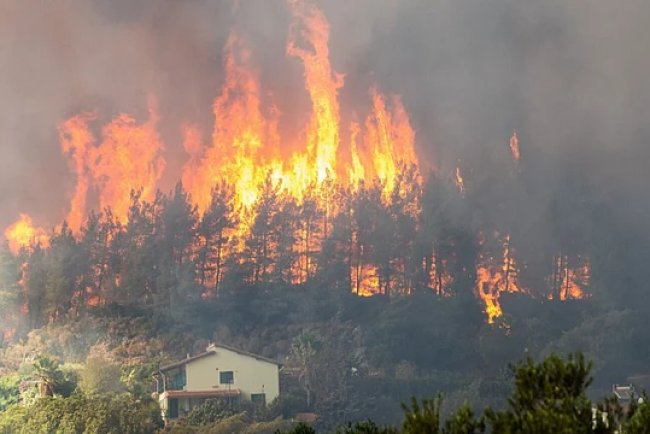 Wildfires Ravage Turkey and Albania Amid Record Heat