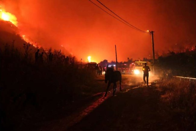 Turkey and Bulgaria Struggle to Contain Wildfires Amid Heatwave