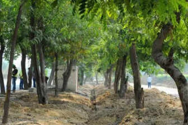 CUET-Based Admissions for IPU's 2025-26 Environment Courses