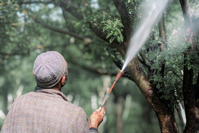 Environmental Risks of Agricultural Pesticides Underestimated, New Study Finds