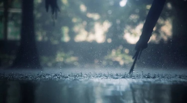 Jharkhand's Wet Spell Concludes as Per IMD Forecast