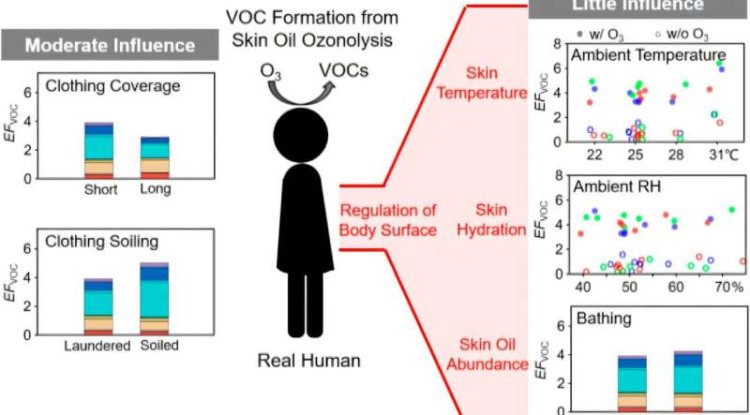 Ozone Drives VOC Emissions from Human Skin, Study Finds