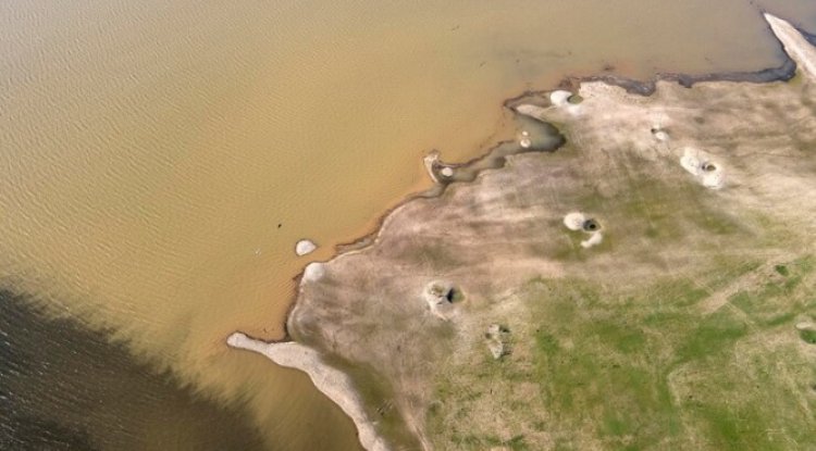Sewage Sludge Threatens UK Farmland And Food Chain