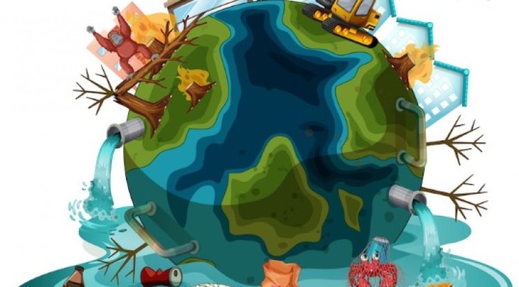 Plastic Pollution In Agriculture Needs Urgent Action