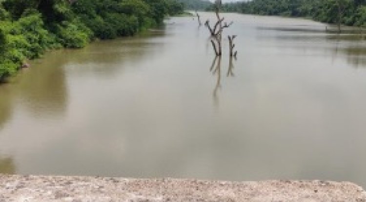 Pavana River Rejuvenation Project Gets SEIAA Nod