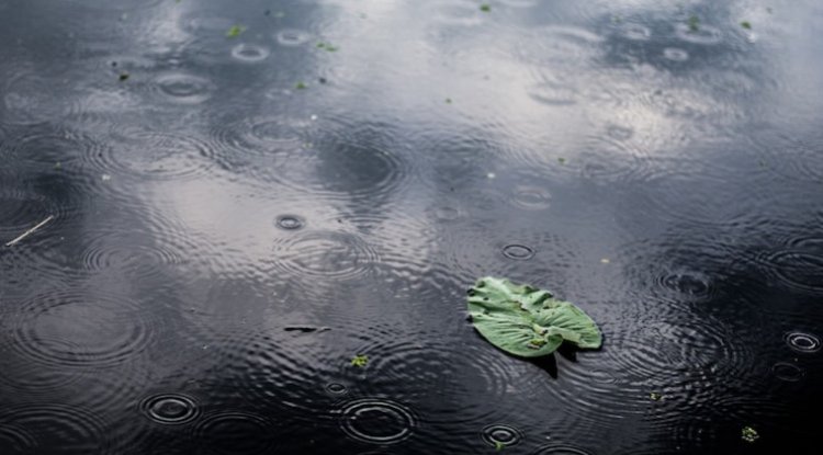 Monsoon Turns Deadly As Climate Crisis Intensifies