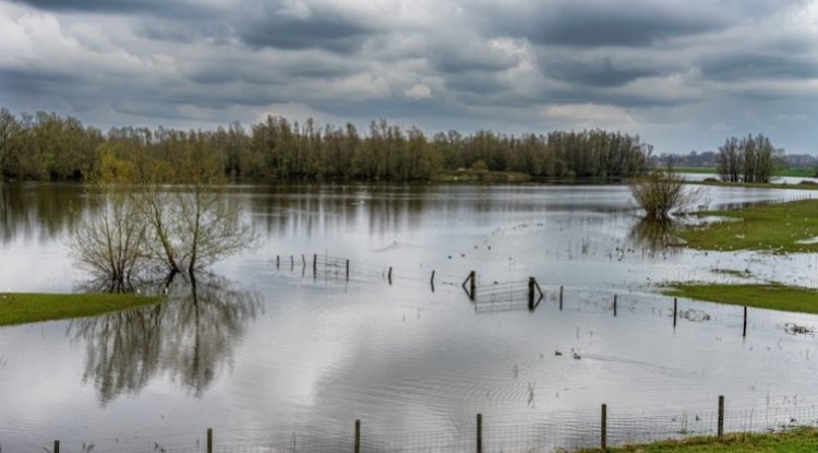 Iowa Report Links Farm Pollution To Water Crisis